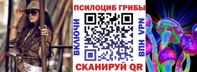 кракен как войти  как найти наркотики  Татарск  Псилоцибиновые грибы MAGIC MUSHROOMS 